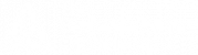The Diabetes Safety Organisation logo with a triangle and text.